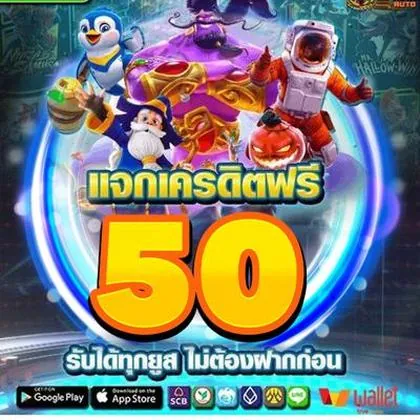 53PG 53PG